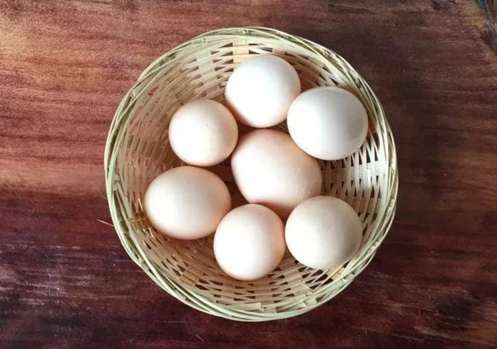 Vegetable Food Storage Basket Bread Fruit Round Dustpan Decorative Woven Basket Desktop Decoration Egg Basket - Image 13